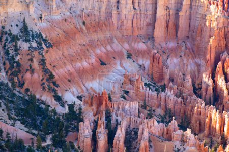 Foto de Parque nacional del cañón de Bryce en Utah, EE.UU. - Imagen libre de derechos