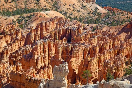 Téléchargez les photos : Parc national de Bryce canyon dans l'Utah, États-Unis - en image libre de droit