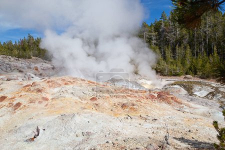 Téléchargez les photos : Bassin de geyser Norris dans le parc national de Yellowstone, États-Unis - en image libre de droit
