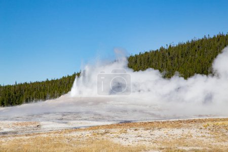 Foto de Vieja erupción de géiser fiel en el parque nacional de Yellowstone, EE.UU. - Imagen libre de derechos