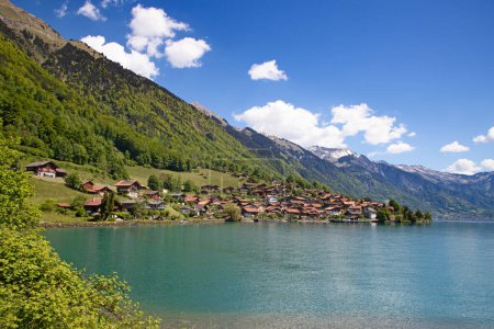 Téléchargez les photos : Village d'Oberhofen sur le lac de Thoune, Suisse - en image libre de droit