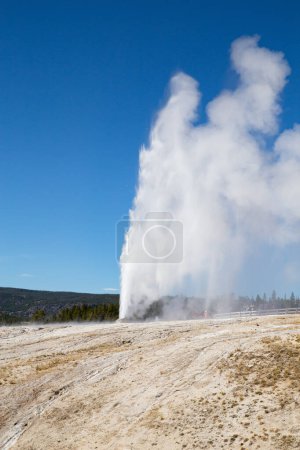 Foto de Erupción de géiser de cono en el parque nacional de Yellowstone, EE.UU. - Imagen libre de derechos