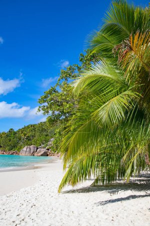 Foto de Famosa playa Anse Lazio en la isla de Praslin, Seychelles - Imagen libre de derechos
