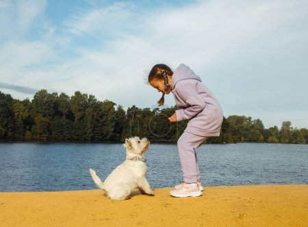 Foto de Una niña de siete años con coletas juega con un terrier blanco de las tierras altas del oeste cerca del lago. Amistad animal y concepto de infancia feliz. - Imagen libre de derechos