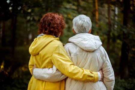 Zwei Seniorinnen wandern im Herbst gemeinsam durch den Wald. Rückansicht. Lifestyle und goldenes Zeitalter.