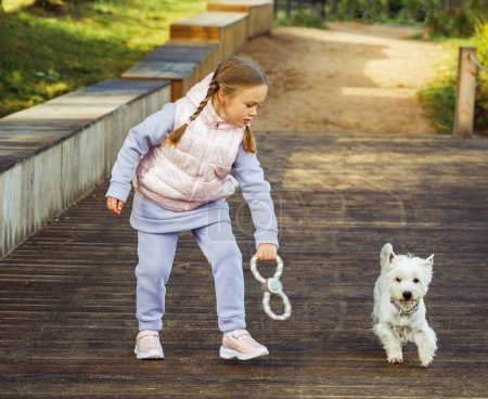 Téléchargez les photos : Animal friendship and happy childhood concept. A girl with pigtails plays with a small white dog and smiles happily. A child and a terrier are playing with a ball. Summer day morning. - en image libre de droit