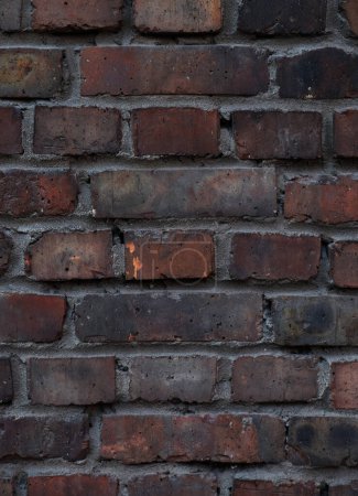 Téléchargez les photos : Le fond est un vieux mur de briques. Le mur est fait de briques de céramique rouge. Gros plan. - en image libre de droit