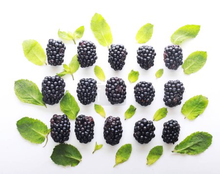 Photo for Pattern of fresh blackberries wit mint on a white background - Royalty Free Image