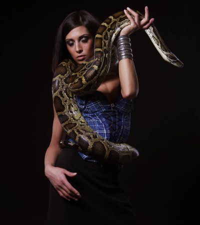 Foto de Sexy morena mujer celebración python sobre negro fondo, concepto de moda - Imagen libre de derechos