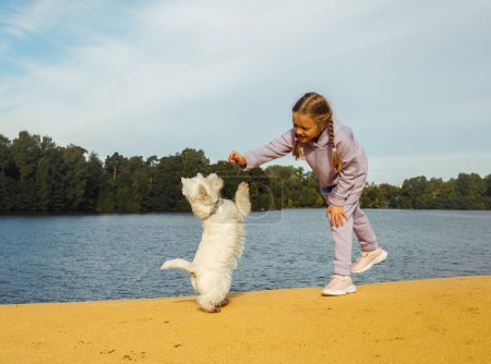 Foto de Una niña de siete años con coletas juega con un terrier blanco de las tierras altas del oeste en la playa cerca del lago. Día de verano. - Imagen libre de derechos