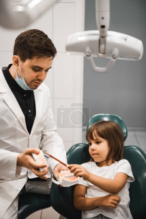 Téléchargez les photos : Un dentiste sur un modèle de mâchoire apprend à une enfant fille à se brosser les dents. Concept de médecine, stomatologie et soins de santé. - en image libre de droit