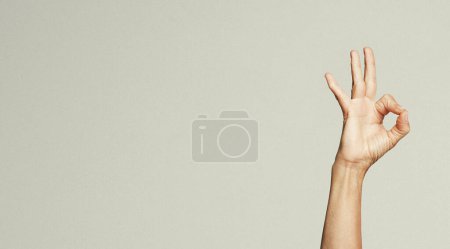 Téléchargez les photos : Vue latérale de la paume des mains femelle avec manucure neutre, montrer ok, isolé sur fond gris. Gros plan détaillé en studio. - en image libre de droit