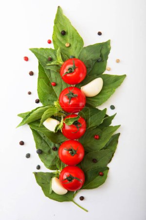 Téléchargez les photos : Tomates rouges mûres avec basilic, poivre et ail isolés sur fond blanc. Vue de dessus. Concept alimentaire. - en image libre de droit