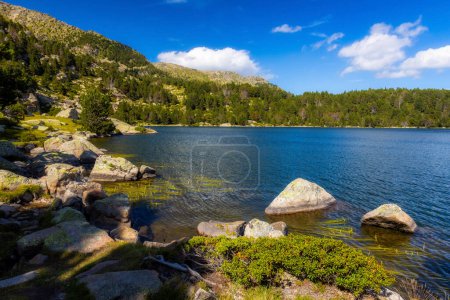 Téléchargez les photos : Paysage estival à La Cerdanya, Lac de montagne des Pyrénées, Catalogne, Espagne. - en image libre de droit