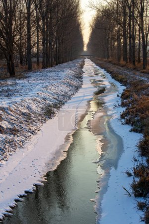 Foto de Winter Wonderland: Río congelado rodeado de majestuosos árboles - Imagen libre de derechos