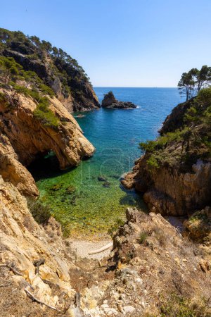 Photo for Nature in all its splendor: an experience for the senses. Costa Brava, near small town Palamos, Spain - Royalty Free Image