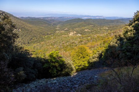 Téléchargez les photos : Forêt de montagne verte vue panoramique sur un ciel bleu avec nuages matinaux sur le sommet de Montseny, Catalogne - en image libre de droit