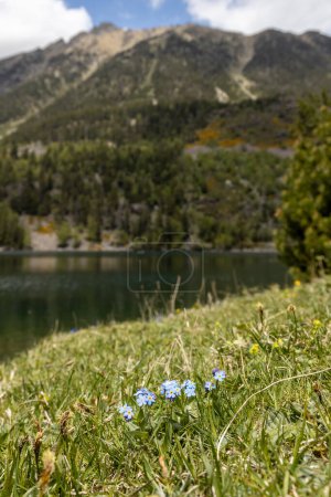 Foto de Hermoso Parque Nacional Aiguestortes i Estany de Sant Maurici del Pirineo Español en Cataluña - Imagen libre de derechos