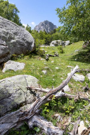 Téléchargez les photos : Parc national des Aiguestortes et Sant Maurici, Catalogne, Espagne - en image libre de droit