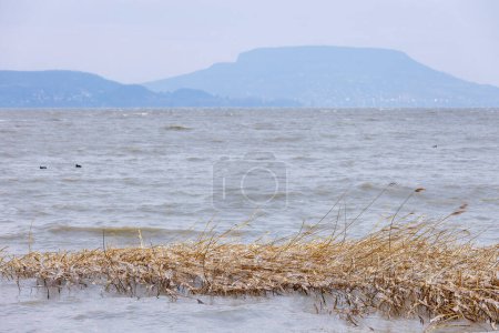Foto de Maravilla invernal en el fabuloso lago Balaton de Hungría - Imagen libre de derechos