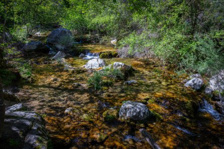 Téléchargez les photos : Paysage de montagnes verdoyantes à sadernes, Catalonie, Espagne - en image libre de droit