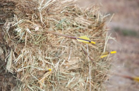 Foto de Flechas en fardos de heno seco y dorado en la naturaleza. - Imagen libre de derechos