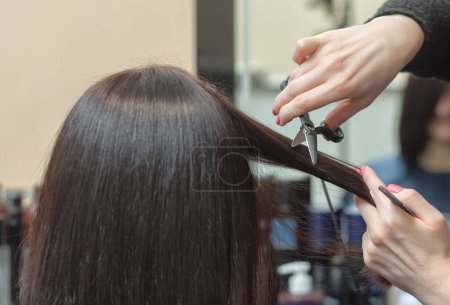Photo for The hairdresser does a haircut with hot scissors of hair to a young girl, a brunette in a beauty salon.Professional hair care and treatment. - Royalty Free Image