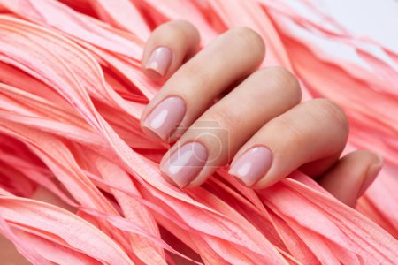 Beautiful gentle manicure. Close-up woman's hand holds a pink leaf.