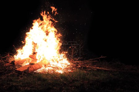 Photo for Burning campfire on a dark night in a forest - Royalty Free Image