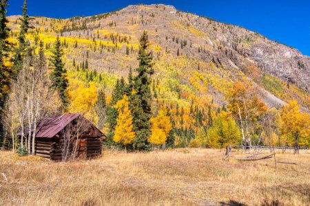 Téléchargez les photos : Ancienne cabane abandonnée à Capitol City, Colorado le long du sentier de la boucle alpine dans les montagnes de San Juan - en image libre de droit