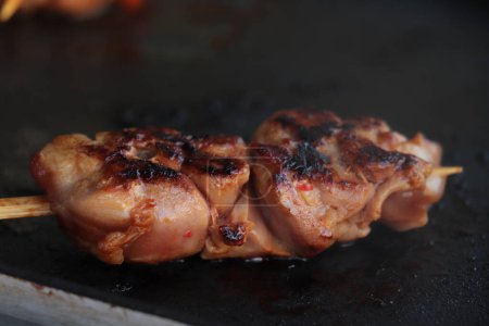 Fleisch auf dem Elektrogrill, Schweinefleisch mit Speck auf Holzspieß