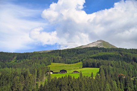 Photo for Mountain,forest and houses in Bad Gastein landscape - Royalty Free Image