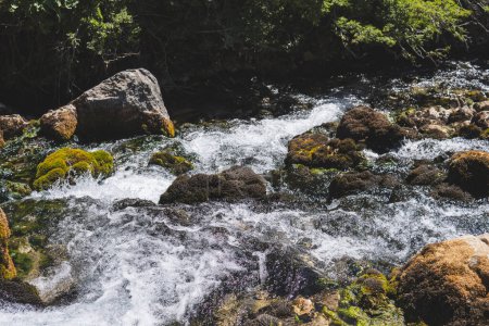 Téléchargez les photos : Gros plan d'une rivière Krupa près de sa source karstique - en image libre de droit