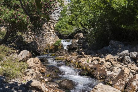 Téléchargez les photos : Vallée de la rivière Krupa près de la source karstique - en image libre de droit