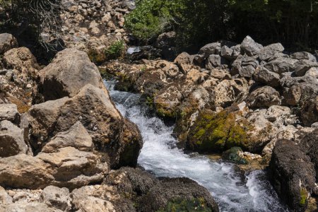 Téléchargez les photos : Vallée de la rivière Krupa près de la source karstique - en image libre de droit
