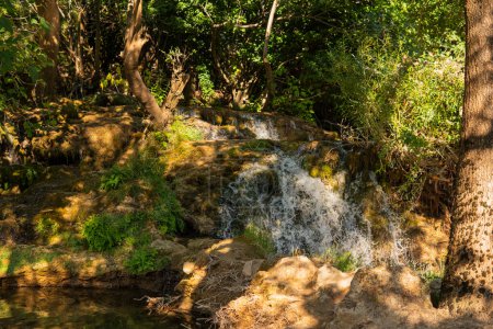 Téléchargez les photos : Petite cascade à l'intérieur d'une forêt verte pendant la saison estivale - en image libre de droit