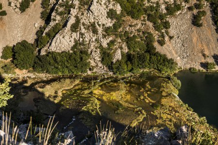 Téléchargez les photos : Paysage avec une série de petites cascades sur la rivière Krupa en Croatie - en image libre de droit