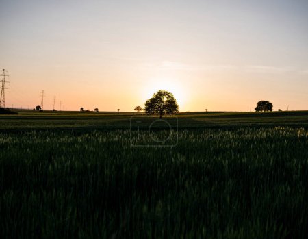 Sunset over fields at the beginning of spring