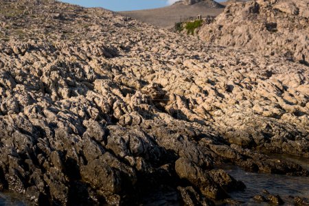 Téléchargez les photos : Pavé calcaire sur l'île de Pag près de la plage de Rucica comme un effet de l'érosion karstique - en image libre de droit