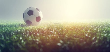 Football soccer ball on grass in spotlight. Sport