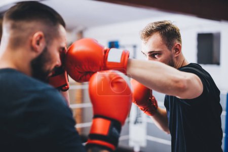 Boxers do boxing training on a gym, sparring and fighting