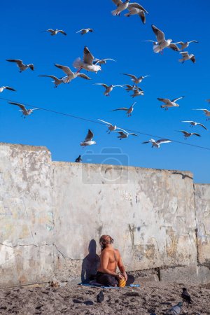 Téléchargez les photos : A man on the seashore feeds seagulls bread - en image libre de droit