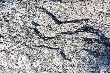 Téléchargez les photos : Texture de pierre de roche gros plan - en image libre de droit