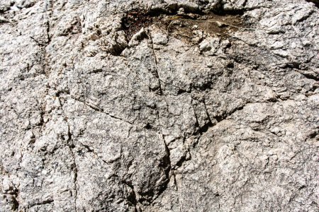 Foto de Textura de piedra de la roca de cerca - Imagen libre de derechos