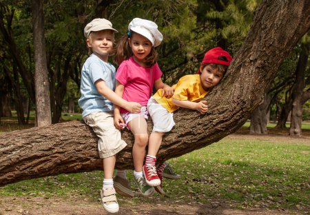 Foto de Niños pequeños se sientan en un árbol en el parque - Imagen libre de derechos
