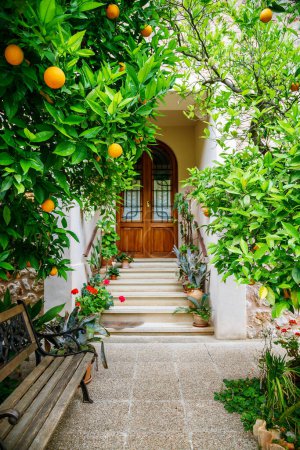 Foto de Acogedor patio con naranjo y un banco en un pequeño pueblo español en Mallorca - Imagen libre de derechos