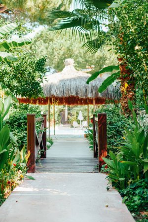 Téléchargez les photos : Un chemin serein menant à un belvédère au toit de chaume, entouré de verdure luxuriante et de plantes tropicales, offrant un cadre calme et naturel - en image libre de droit