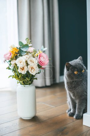 Téléchargez les photos : Un chat britannique gris regardant par derrière un coin, et un vase de bouquet de fleurs vibrantes et colorées positionnées près de - en image libre de droit