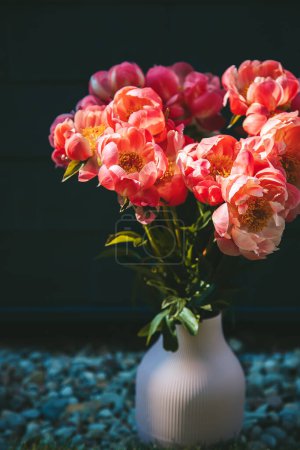 Pivoines roses vibrantes aux pétales luxuriants debout dans un vase rose, baignées de lumière naturelle du soleil