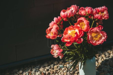 Un bouquet de pivoines roses, vibrantes et pleines, sont élégamment logées dans un vase, baignées de lumière naturelle